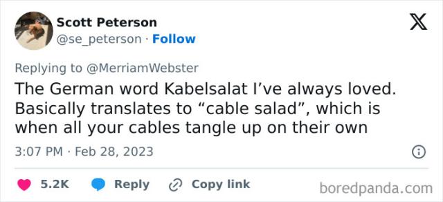 cable salad