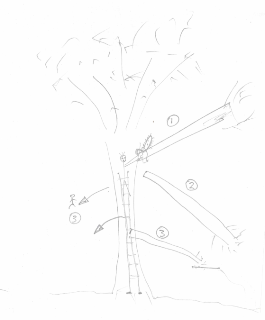 Bad diagram of me cutting a limb off a tree, having it knock me off the ladder and hitting the ground from about 15ft up.