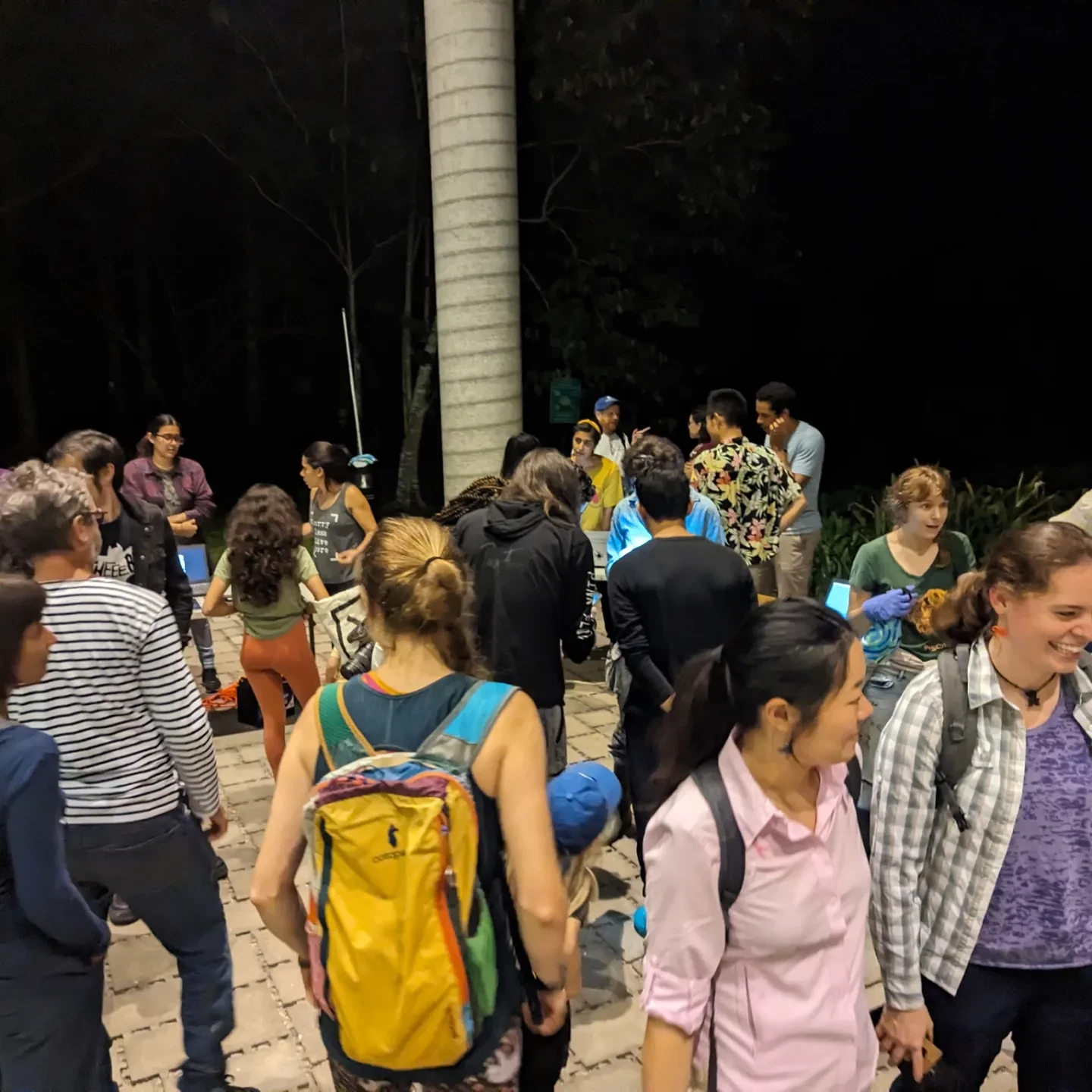 People visiting bat night 