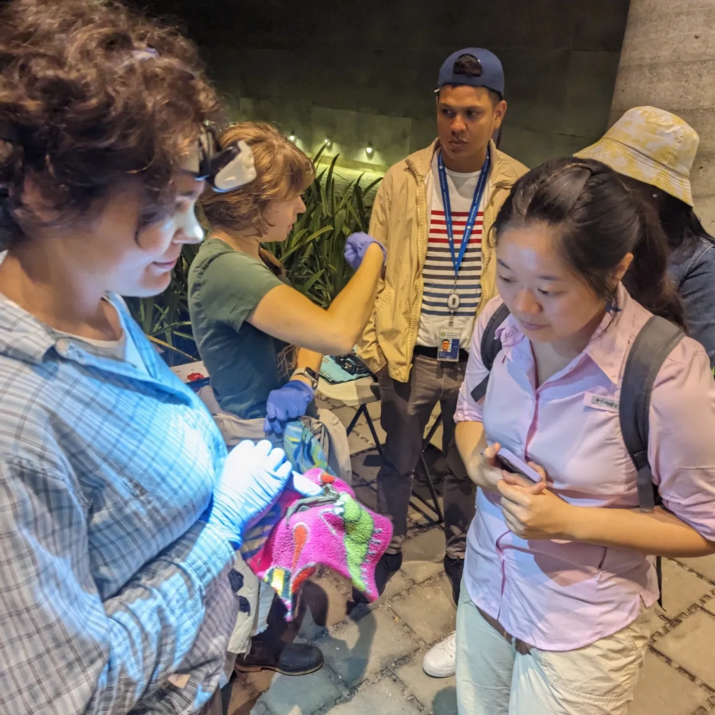 Bat researcher showing a cool bat 