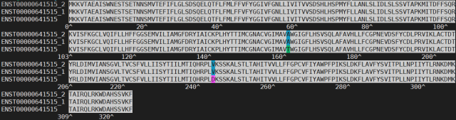 Output of `alv` a tool for viewing multiple sequence alignments on the command line.