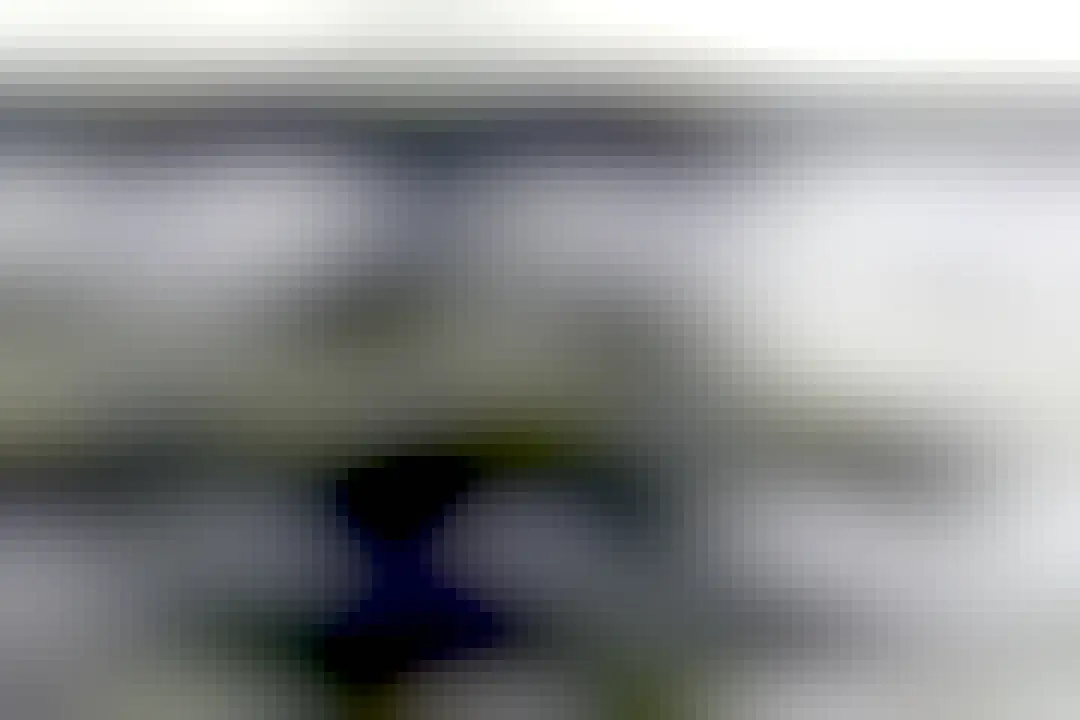 Black and white image of the gnarled roots of a fallen tree.  There is a lake in the background and the far shore of the lake is visible in the distance.