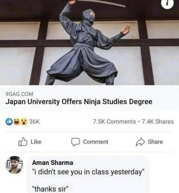 ninja studies