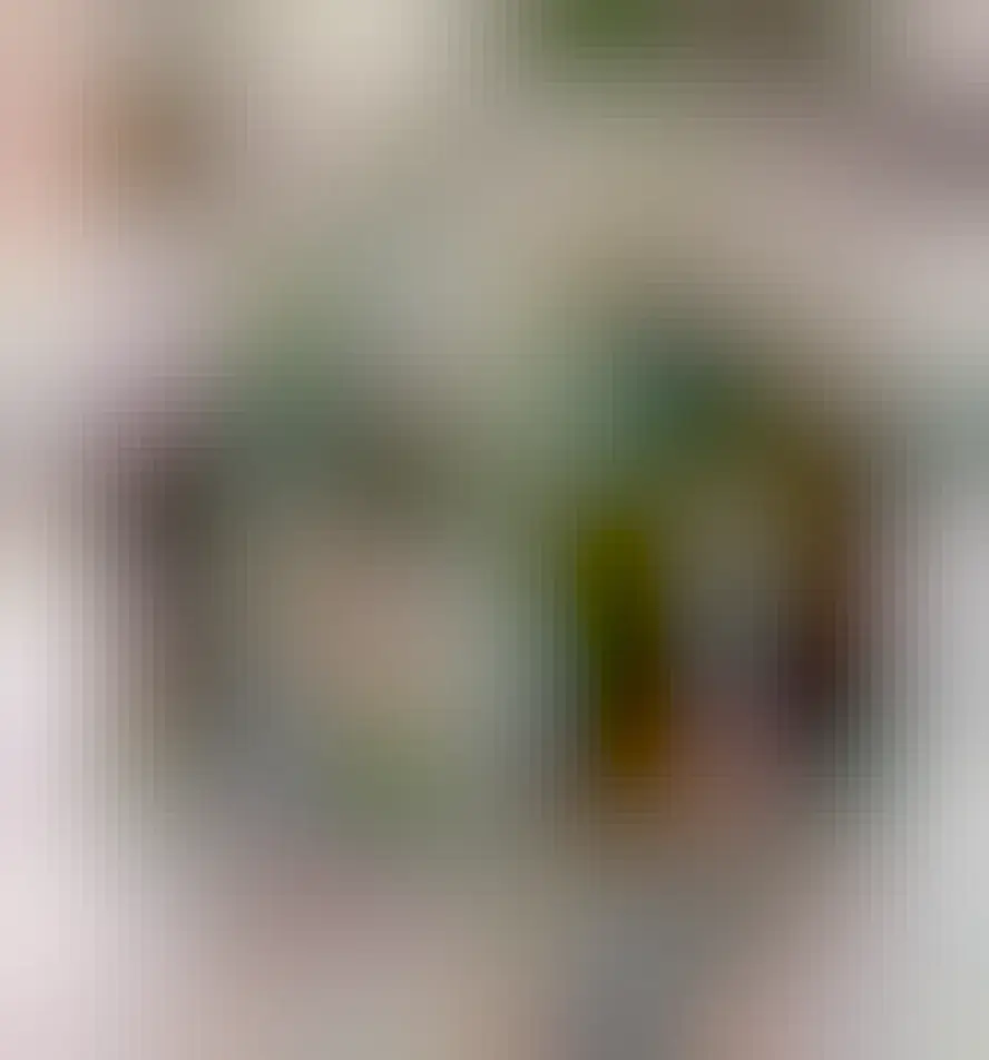 A handsome tabby presents his belly and looks expectant 