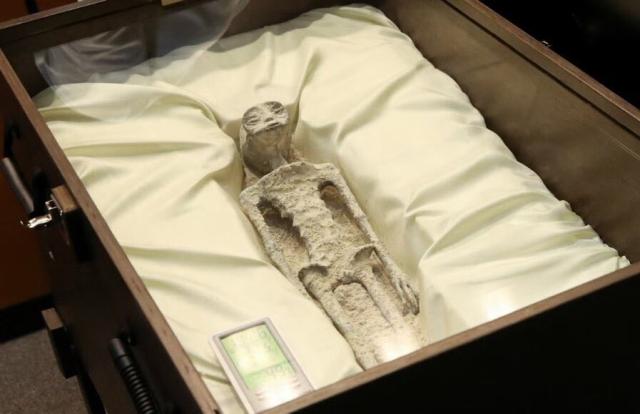likely hoax mummified alien