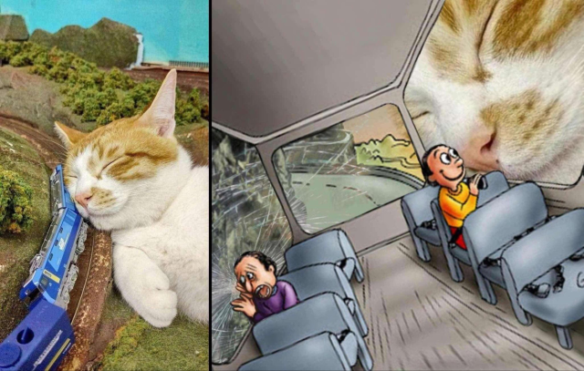 Image shows cat snuggling against a toy train set pushed off the tracks.

Second image shows the meme of a train car with the person against the window with the cat face smiling, and the person on the other side scared as the window is smashed up against the rocks.