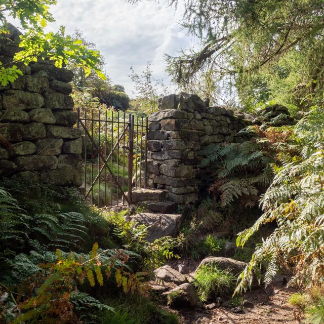 An old iron gate leads through a drystone wall onto moorland.