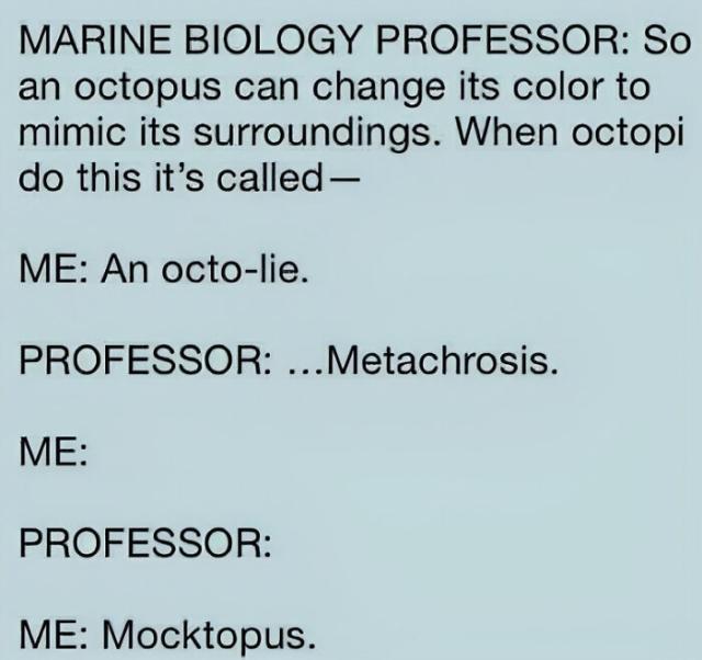Mocktopus
