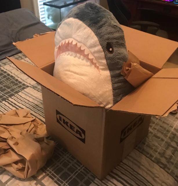 a blahaj popping out of an ikea box