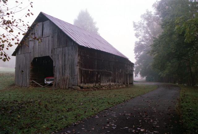 A rural barn in Pittman, Tennessee (September 2013). A paved driveway and trees are to the viewer's right. The front end of a red pickup truck is peeking out of the barn entrance. There are fallen leaves on the ground, and the area is enveloped in light morning fog.