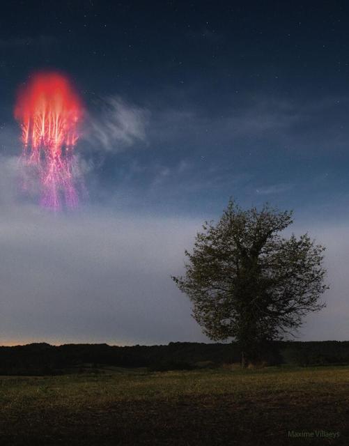 A lone tree is seen on the right of a dark grassy field. Above and on the right, a bright red filamentary glow is seen in the sky. The filaments of this glow may seem similar to the branches of the tree.