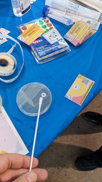 A swab getting rubbed on a petri dish with an anonymous swab ID card beside. 