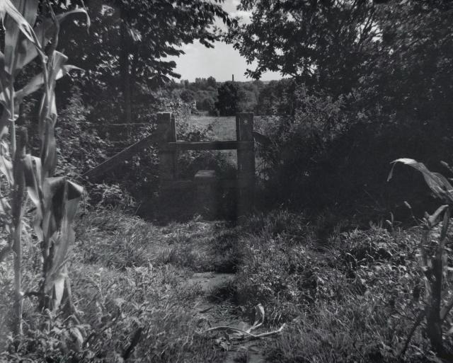 A 6x7 medium format film photo of a stile in the shade of the hedgerow 