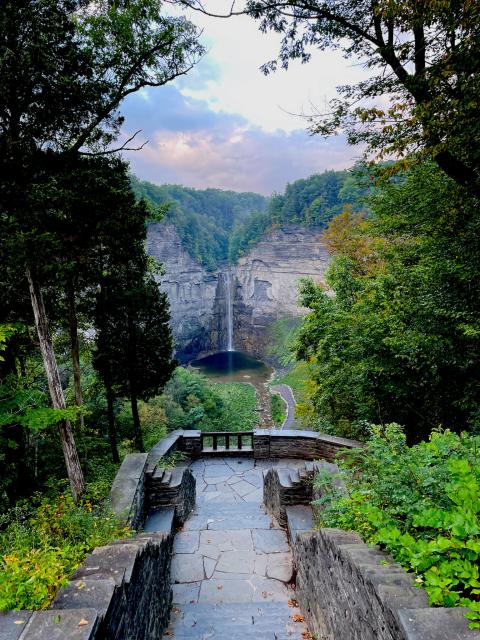 A waterfall drops down a rocky gorge. All around the gorge is a very green forest. The clouds are plentiful and purple. In the foreground is a stone walkway to an overlook facing the falls.