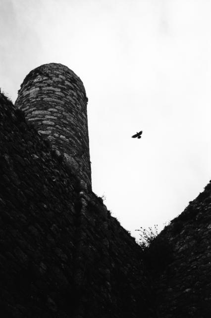 A crow flying over the ruins of Wheel Frances tin mine. Plants grow out of the cracks in the granite structure. A  black and white photo shot with a Zorki 4 camera , Nikkor H.C. 50mm lens and Ferrania P30 film.