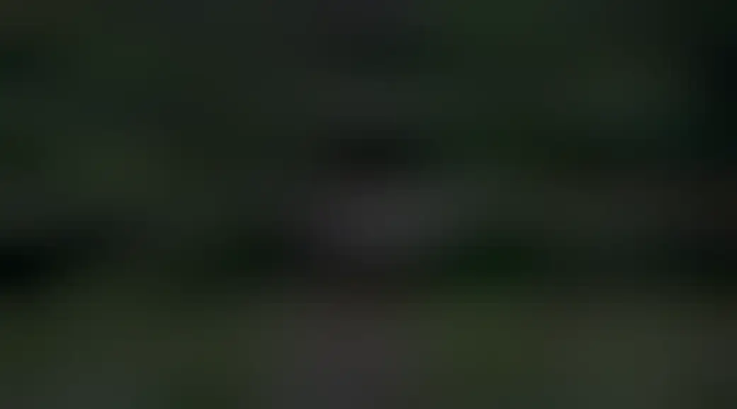 Screenshot of a screen from the game showing the entrance of a forest with text "I used to not like going outside" and a "Continue" button