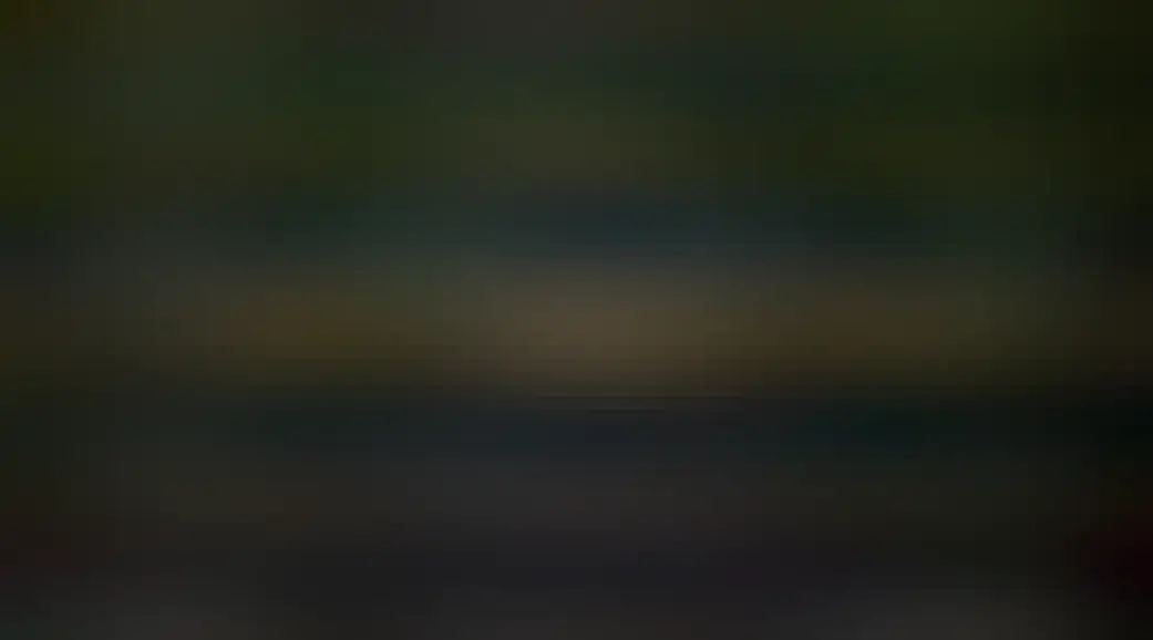 Screenshot of the game showing a choice on top of the background of a photo of the forest path.
"So, yeah, going on walks.
Do you also feel brain fog coming when you spend too long inside staring at screens?"
Choices:
"1. Yes
2. Oh wait, it's not just me?
3. No
4. What the fuck are you even talking about?"

The background shows a forward and a back arrow to navigate the path, as well as a plant picture in a corner that looks clickable