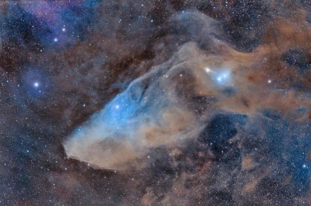 A starfield surrounds a large nebula that is mostly brown and blue and has an appearance reminiscent of the head of a horse. This nebula is not the more famous .