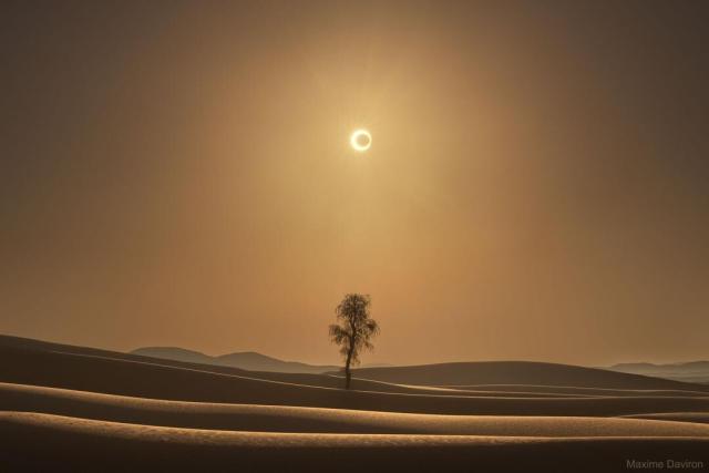 An empty desert is shown with rolling tan sand dunes and a tan glow to the air above. A lone tree grows in the image center. High above, the Sun glows - but the center of the Sun is blackened out by an unusual disk.