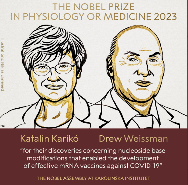 Nobel Prize illustration to announce the 2023 award in Physiology or Medicine to Katalin Kariko and drew Weissman for their discoveries that enabled the development of mRNA vaccines against COVID