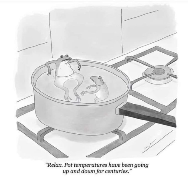 Cartoon of two frogs relaxing in a pan of water on a cooker one saying to the other “Relax. Pot temperatures have been going up and down for centuries “