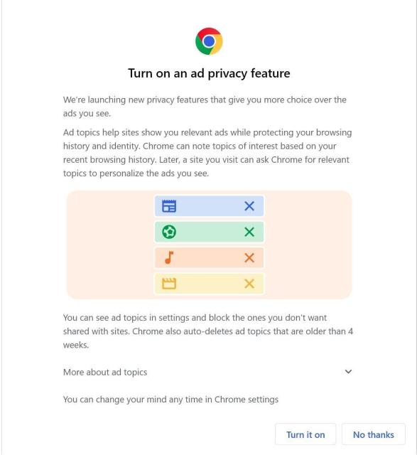 A screenshot of the Google popup asking you to turn on their "ad privacy feature".