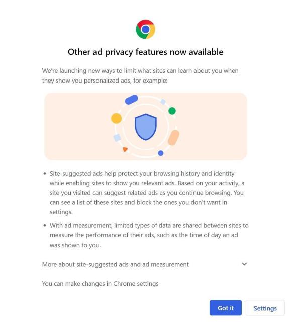 A screenshot of Google's "other privacy ad features" popup. 