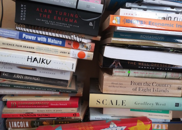 Photo: Two perilously balanced piles of books.