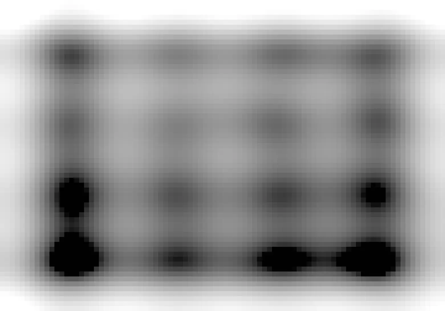 A black and white close up photograph of ripe barley in a field. 