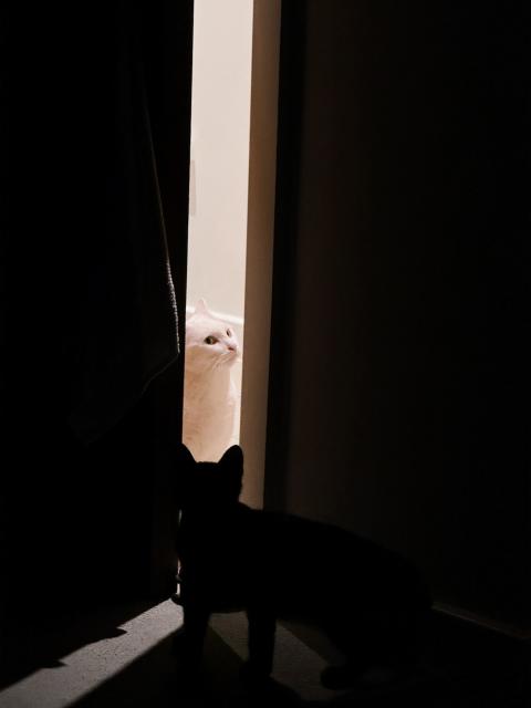 The bedroom door is slightly ajar, showing Goose in the hallway, and the silhouette of Zero in the bedroom