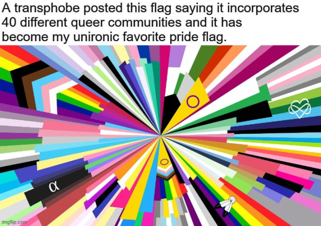 A transphobe posted this flag saying it incorporates
40 different queer communities and it has
become my unironic favorite pride flag.