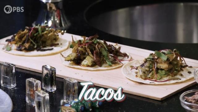 3 tacos made with insects