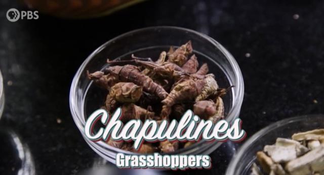 Chapulines Grasshoppers