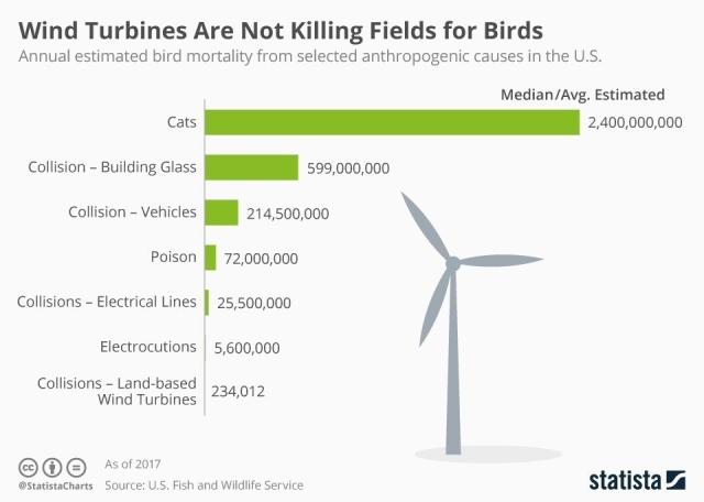 Annual estimated bird mortality from different causes in the U.S.

Cats, buildings & vehicles kill magnitudes more birds than poison, electric lines, and wind turbines. Source: U.S. Fish & Wildlife