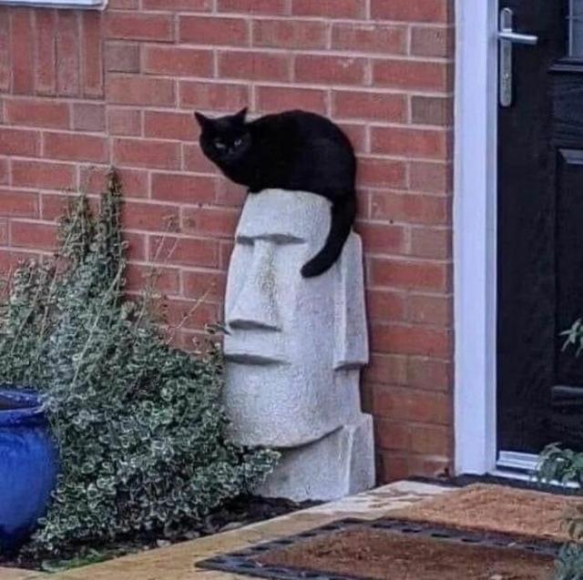 Very weird cat and Easter Island figure
