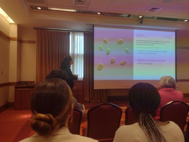 Paula giving her talk