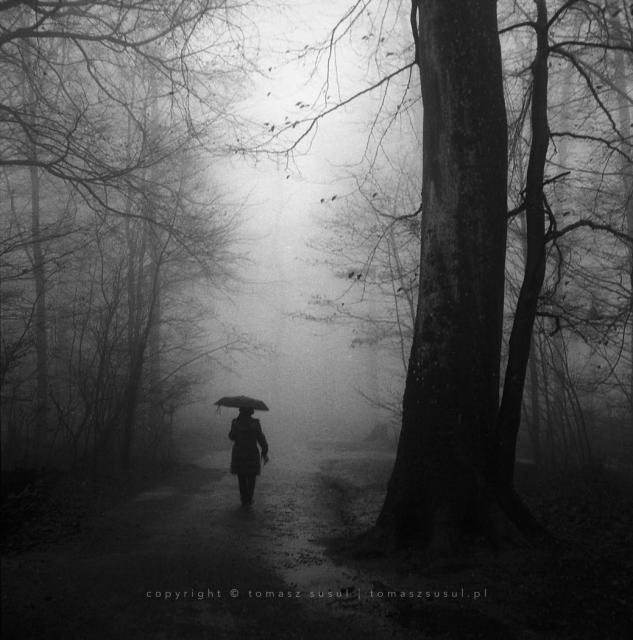 Contrasting photograph of a woman walking through a dark park under an umbrella. The mist cuts the detail from the background, creating the impression that the path disappears into a patch of light.