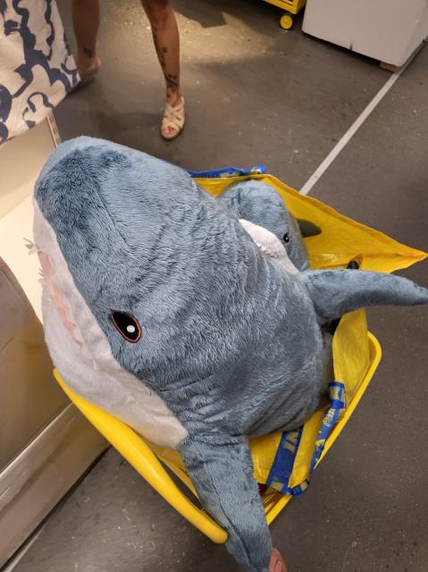 Picture of a big and small shark plushie in an IKEA bag. My wife's ankles making a cameo in the background.