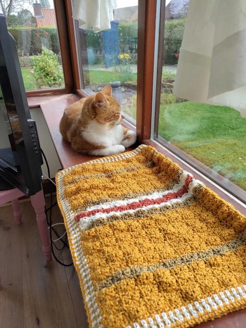 Ginger cat sitting next to a blanket crocheted in ginger cat colours.