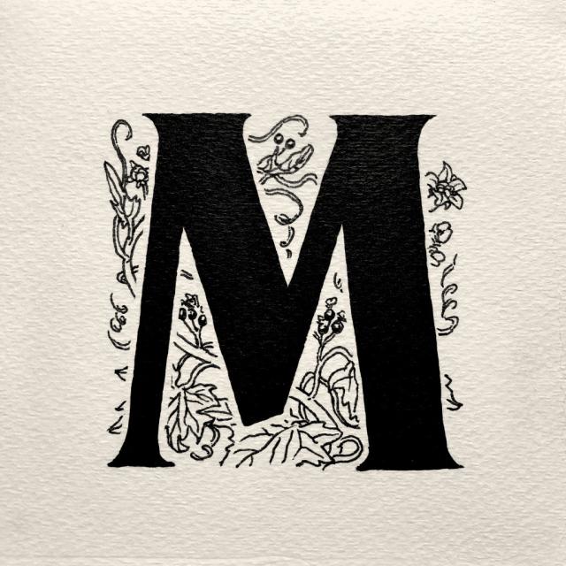 Black ink drawing of a decorative drop cap letter ‘M’ in a flare serif style with line art of a Mandrake plant intertwined behind the letter.