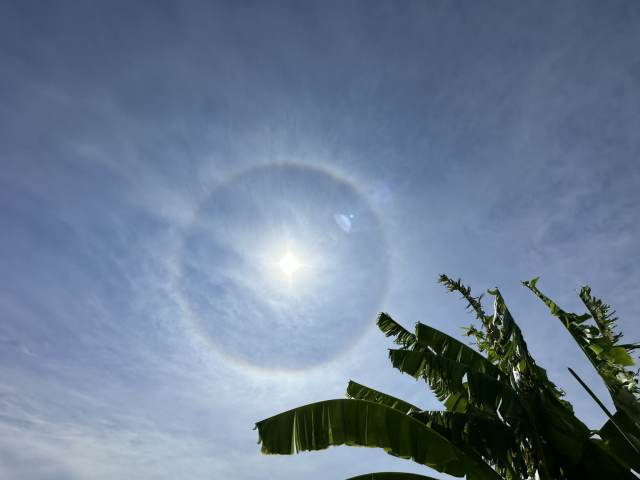 Sun halo