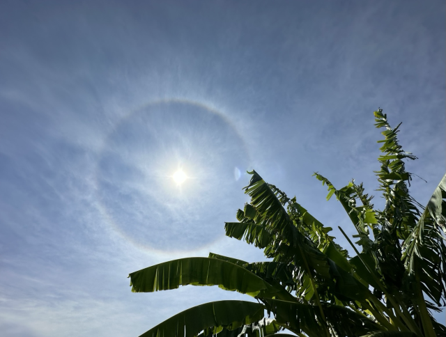 Sun halo 