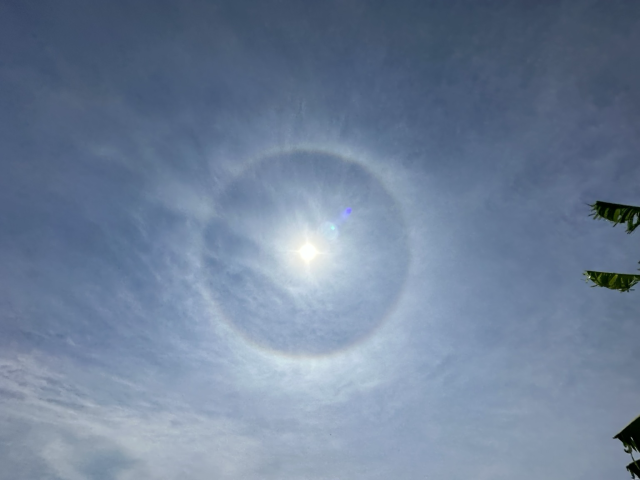 Sun halo