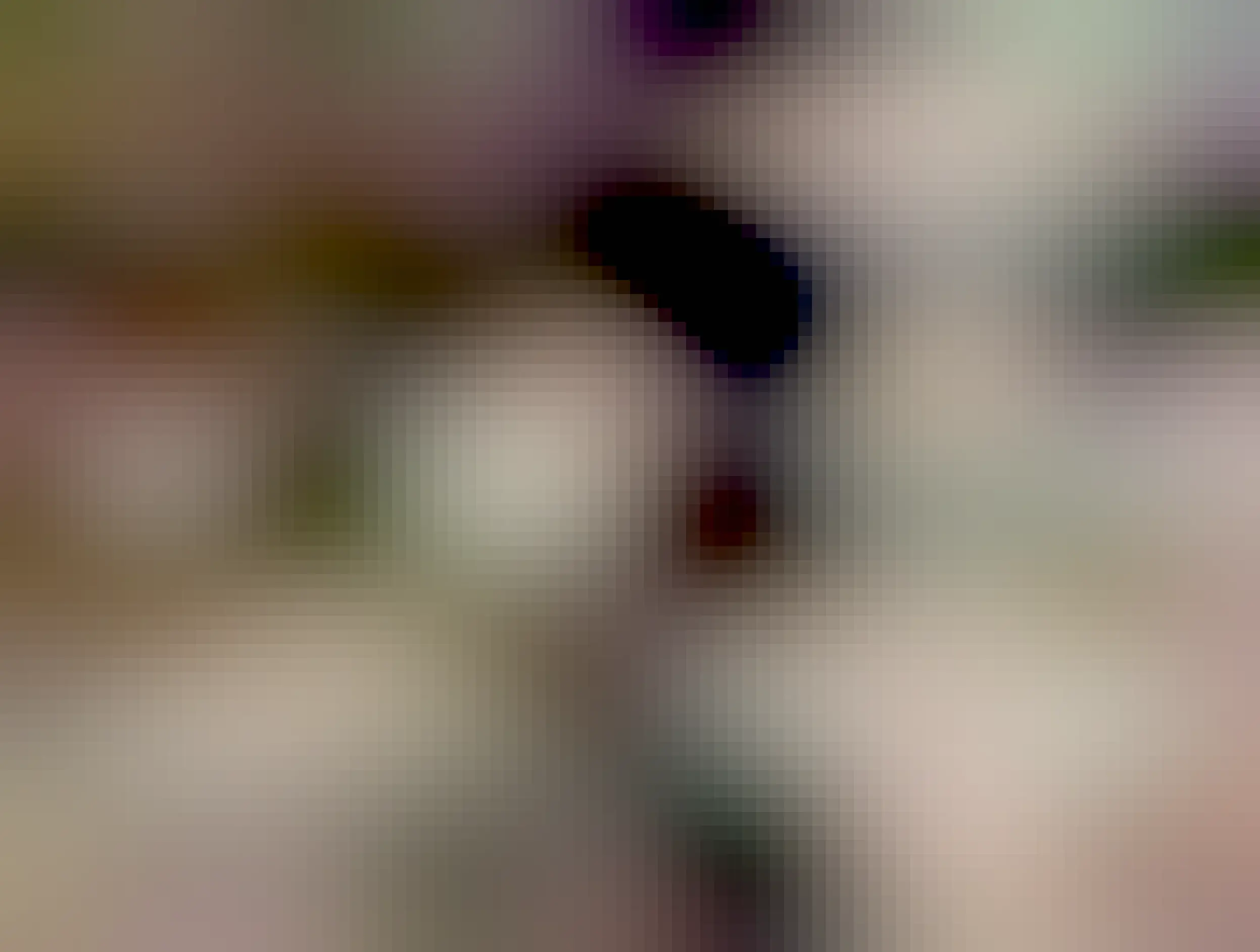 mouse emerges from the rocks, is now well lit 