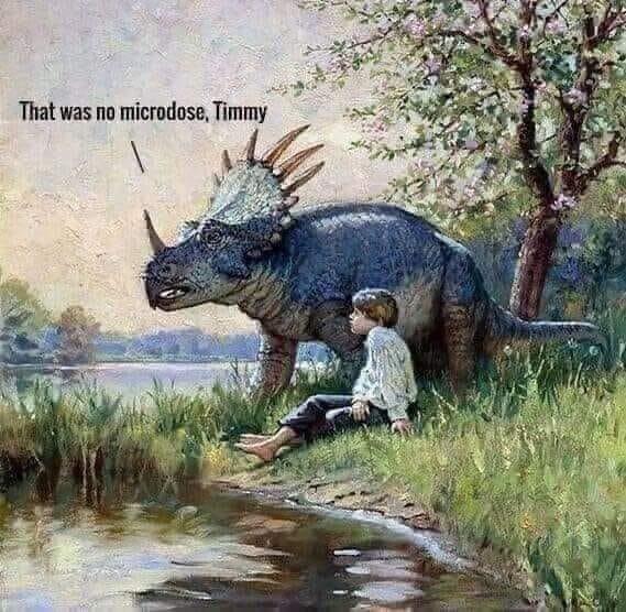 Timmy and Lassie sit by a pond. The blue Triceratops says That was no microdose, Timmy. 

Artwork is from James Gurney's Dinotopia.

Meme maker unknown. Not me.