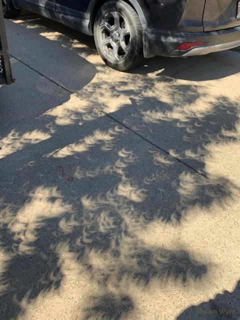 A driveway is shown with a car at the top of the frame but a series of shadows across the rest of the frame. A close inspection of these shadows shows that they are frequently small images of an ongoing partial solar eclipse.