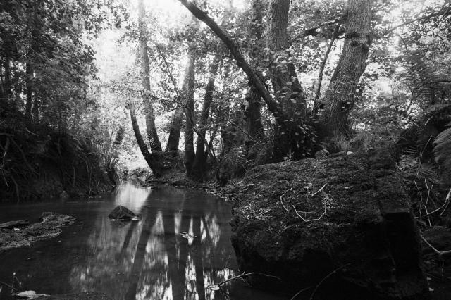A black and white photo of a stream in the woods. There's some moss-covered broken masonry in the foreground, and the water looks smooth and glassy due to the long exposure. 