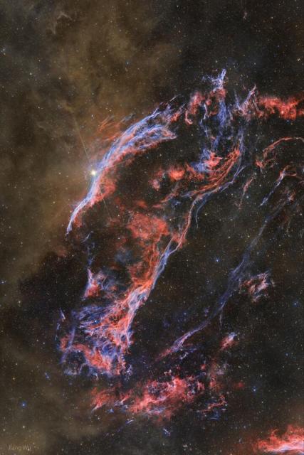 Brown glowing dust appears to the left of the blue and red filamentary gas that composes the western edge of the Veil Nebula, a supernova remnant.