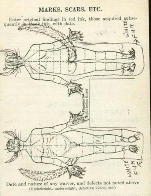 A human medical record with diagrams of the front and back of a male figure, to be used to mark tattoos, scars, and other identifying features. Someone has drawn long pointy ears on the man, claws on the hands and feet, and a big furry tail. A note indicates "white fur" on the lower legs.