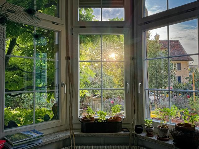 Photo taken from the interior of a house towards the garden. Three large windows arranged as if part of an octagonal shape. Potted plants and books on the inside ledge. The sun is shining through greens into the middle window. To the left are green leaves, to the right you can see a house. 